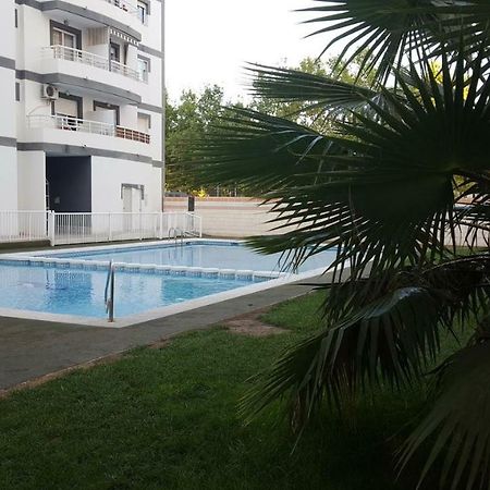 Appartement Avec Piscine San Vicente Raspeig Eksteriør bilde